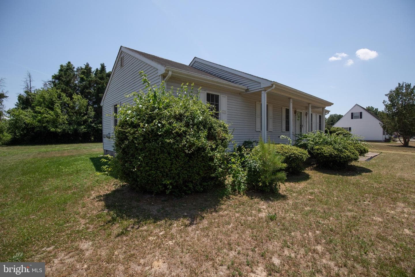 8235 Burnt Branch Drive photo 3