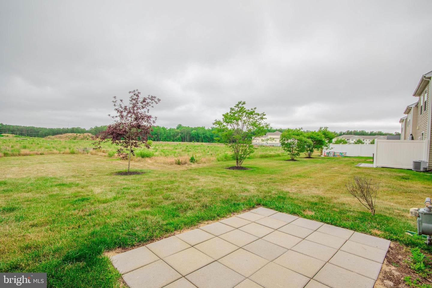 434 Creekbed Circle photo 25