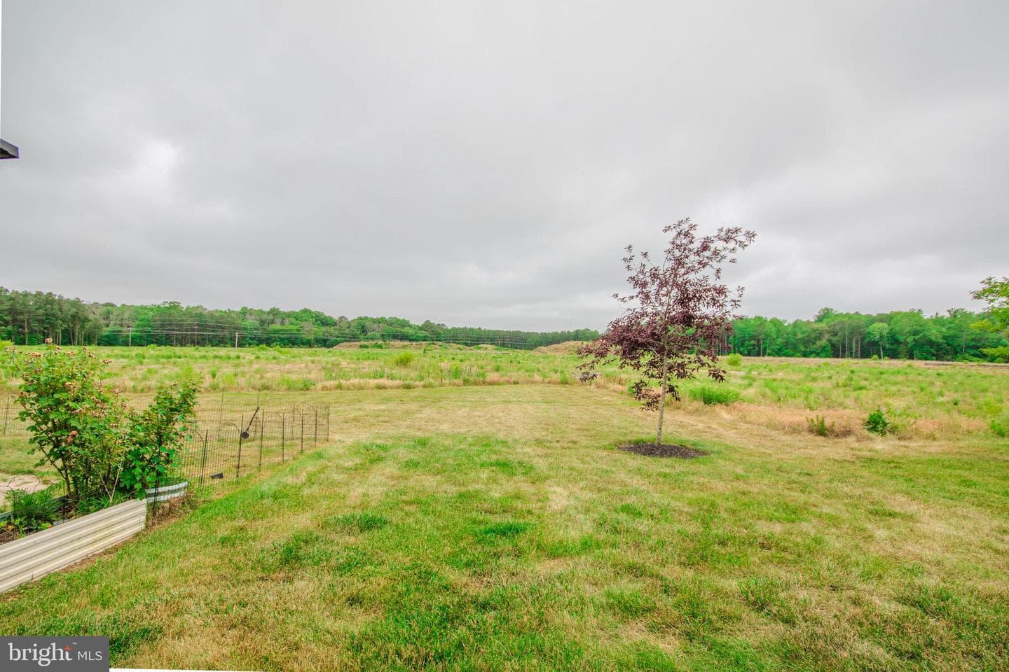 434 Creekbed Circle photo 26