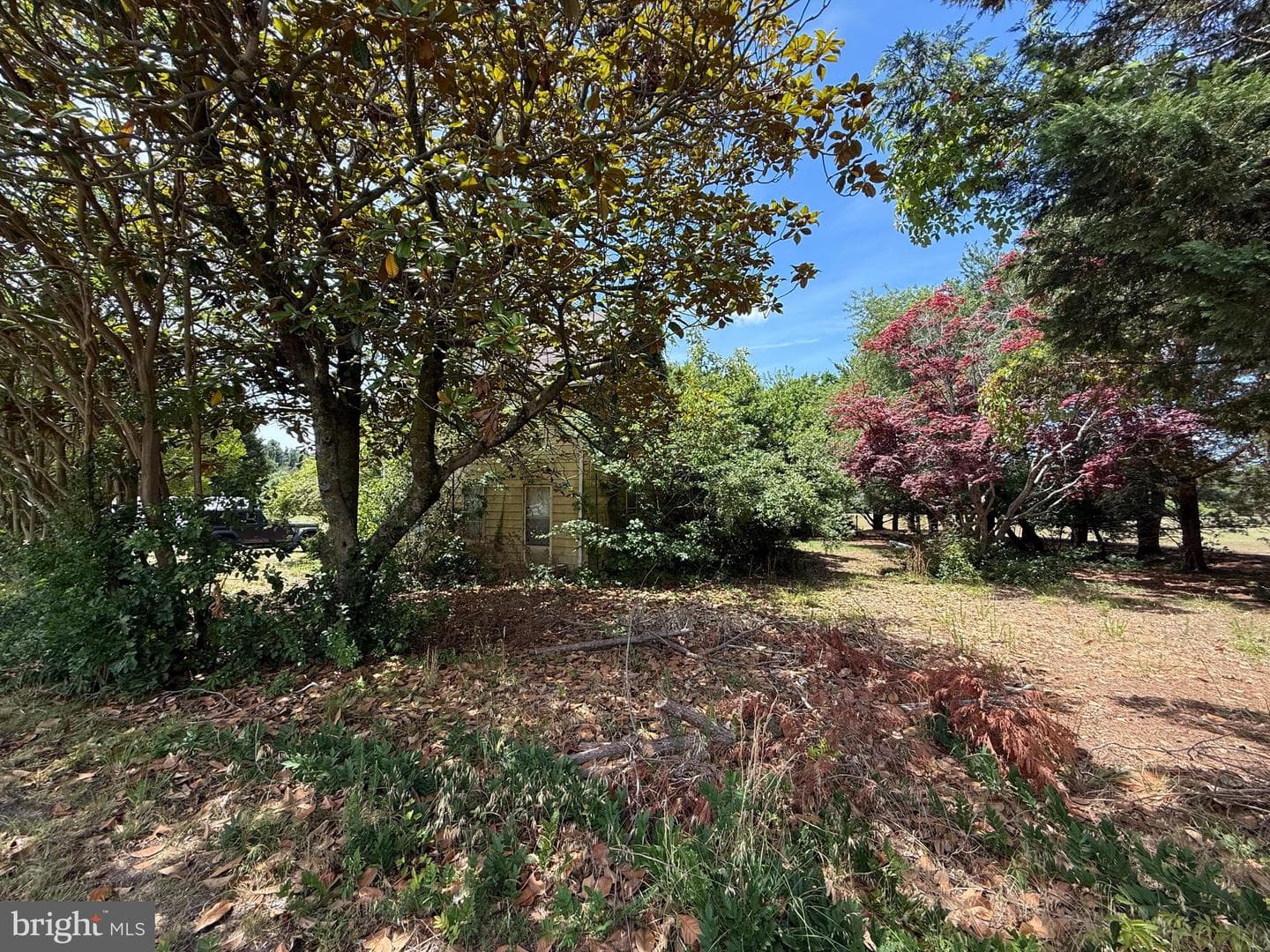 4506 Tyaskin Road photo 23