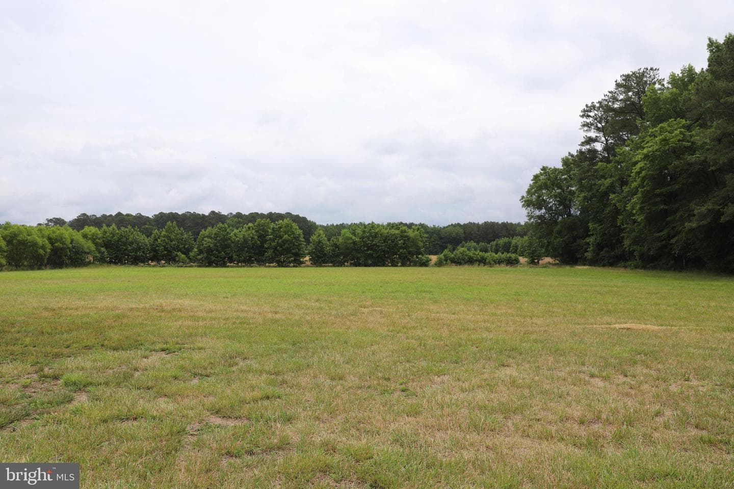 6445 60 Foot Road photo 8