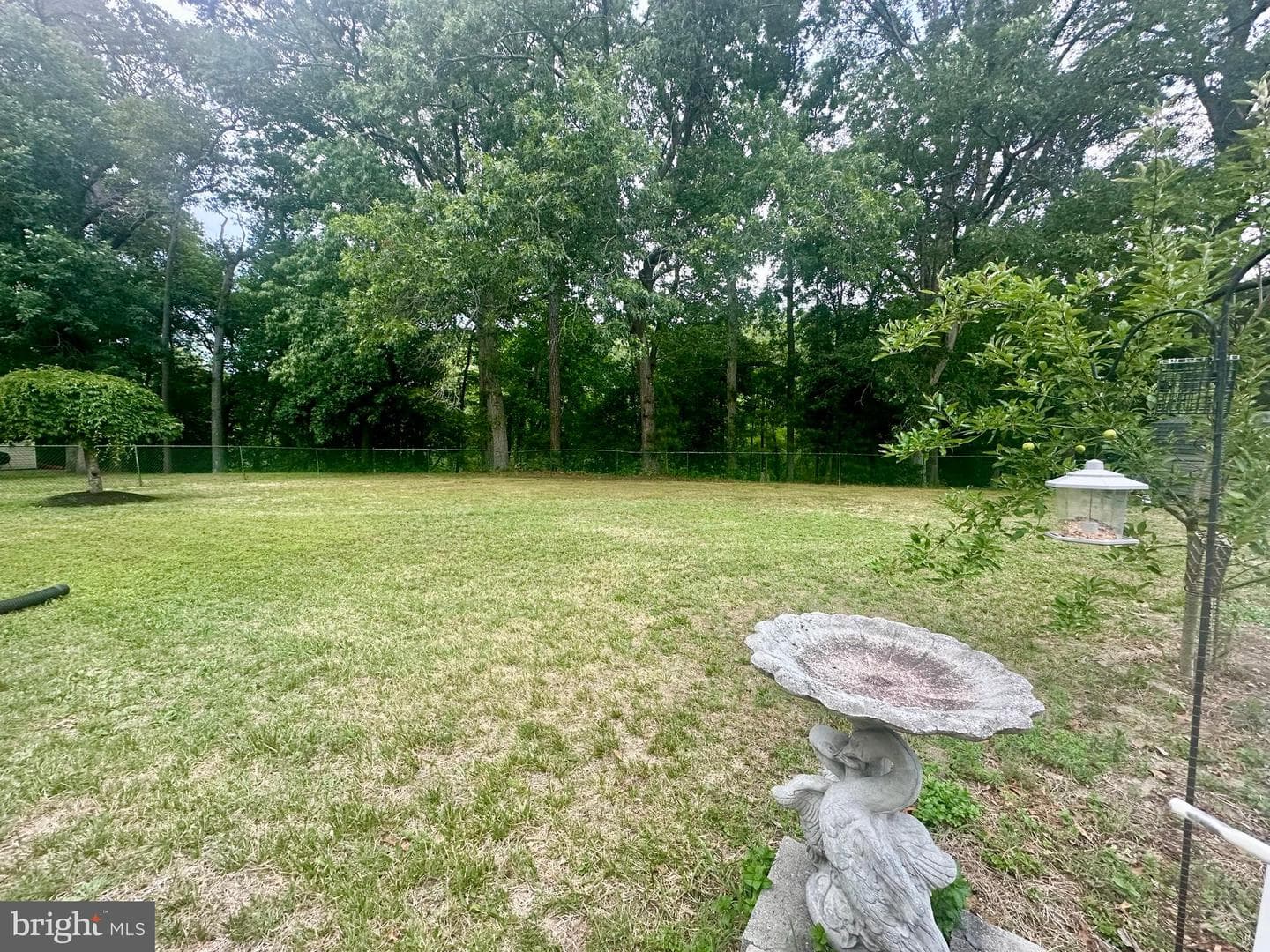 4843 Goose Creek Drive photo 27