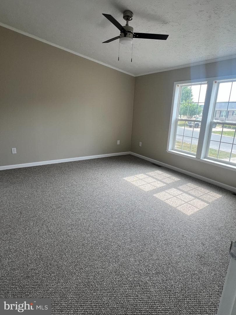 26920 Osprey Circle photo 13