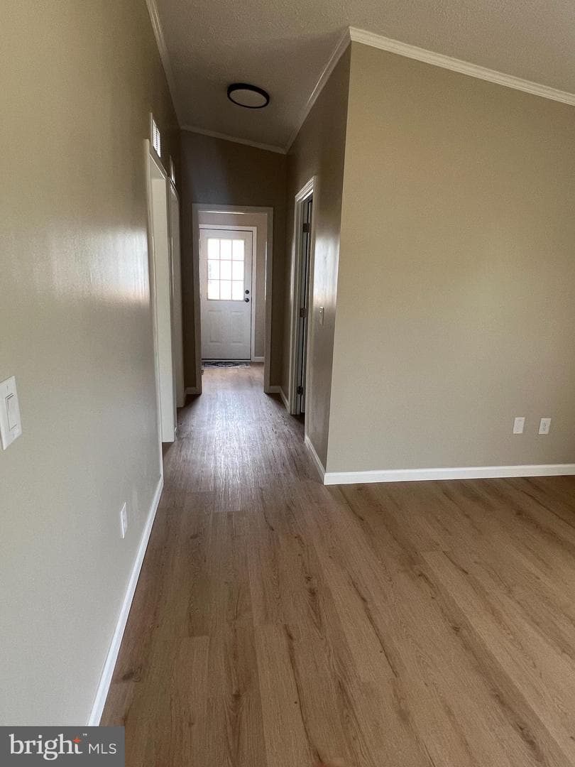 26920 Osprey Circle photo 14