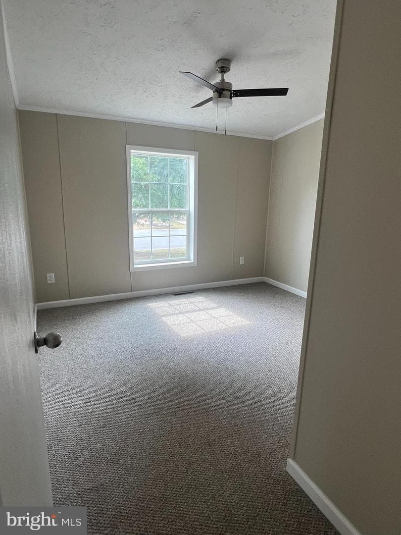 26920 Osprey Circle photo 16