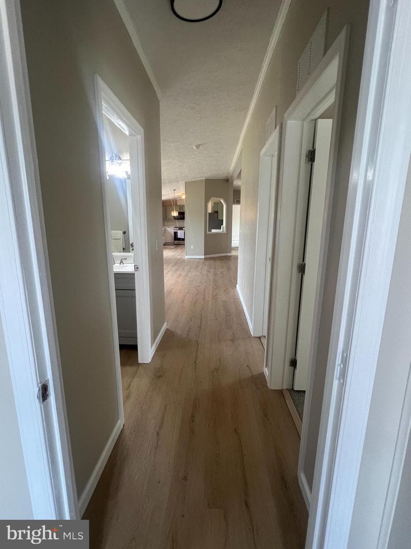 26920 Osprey Circle photo 18