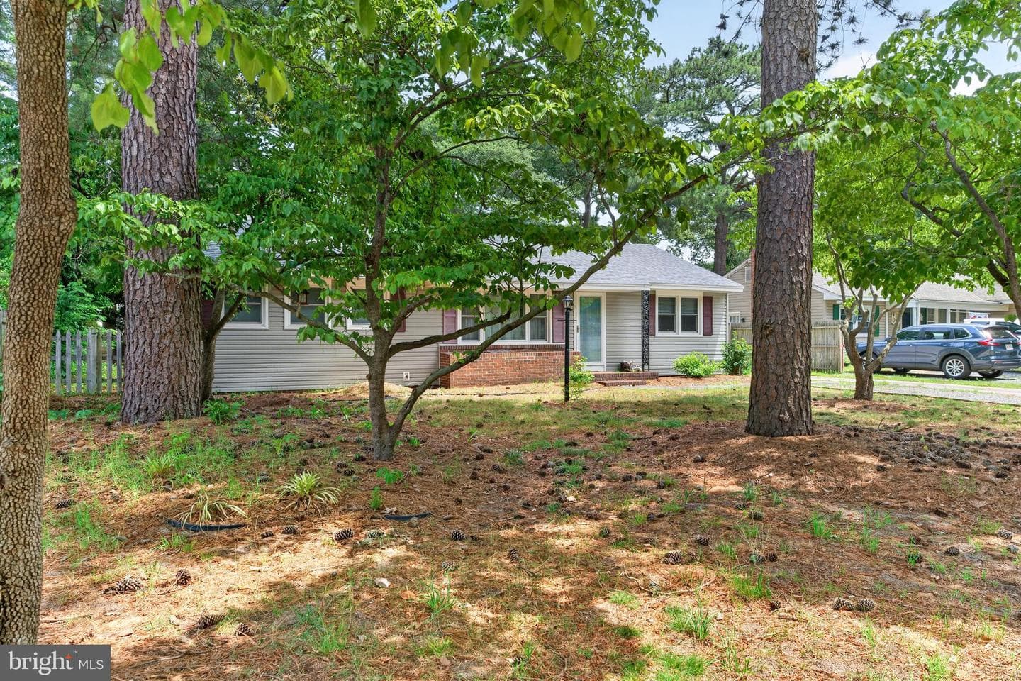 509 Loblolly Lane photo 42