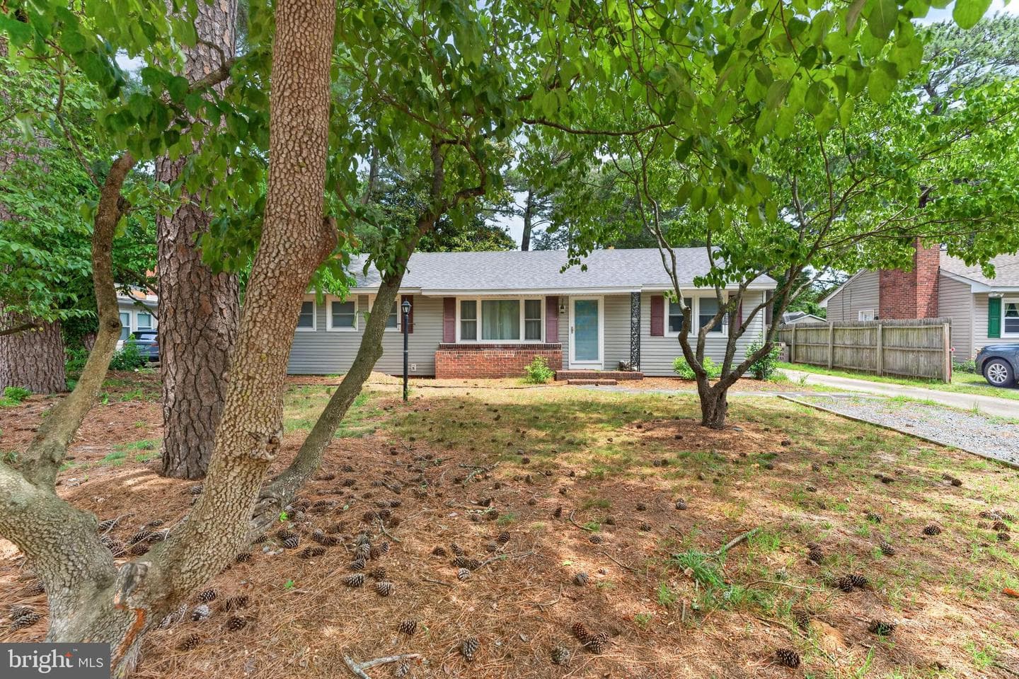 509 Loblolly Lane photo 44