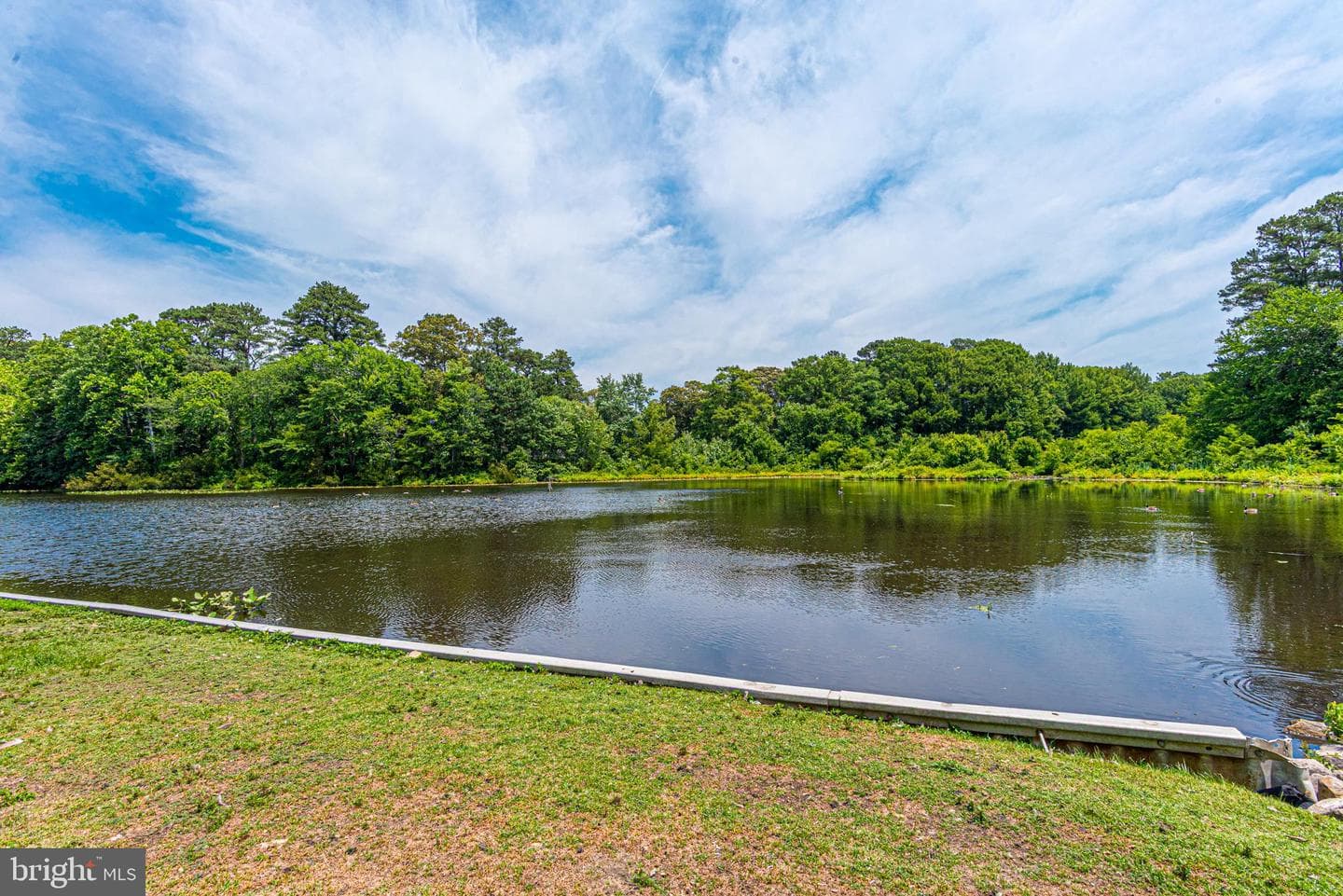227 Canal Park Drive #301 photo 15
