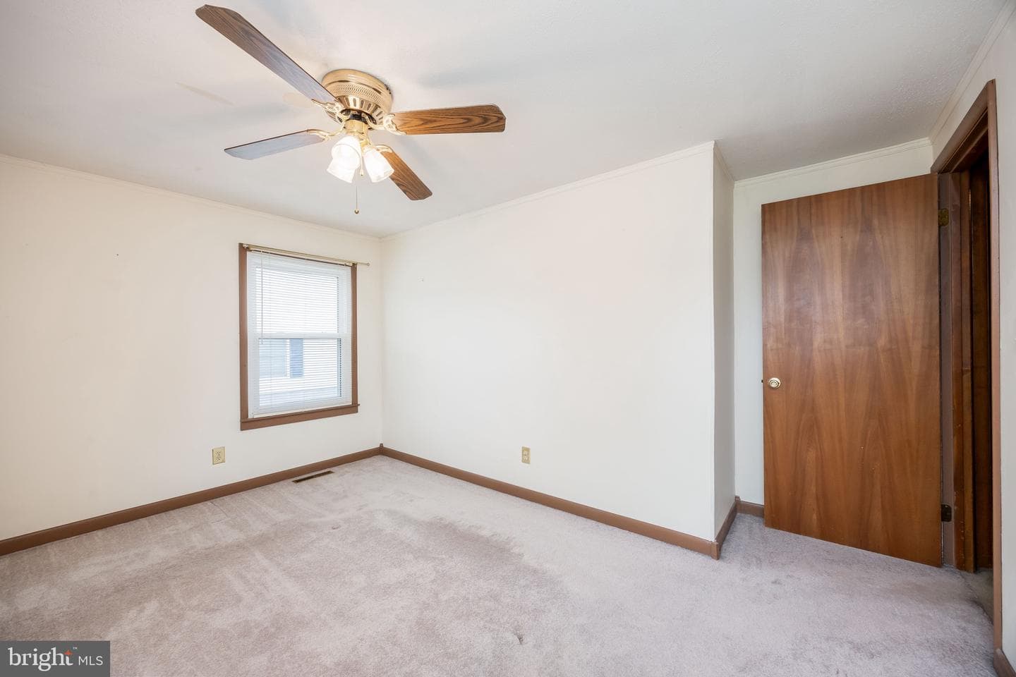 304 Calvin Drive photo 38