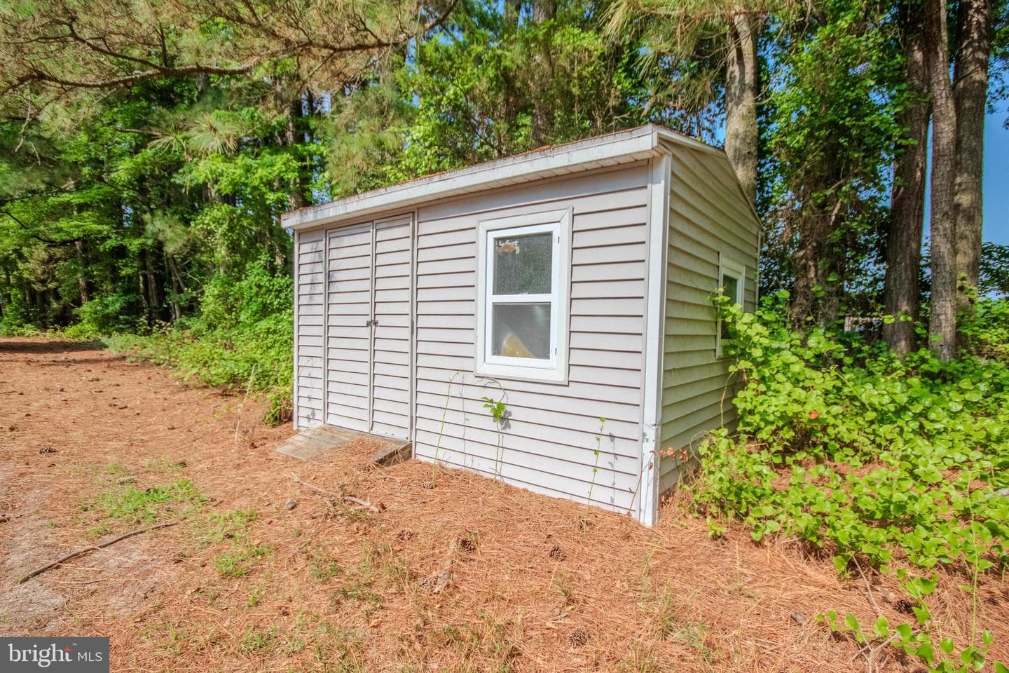 26608 Nanticoke Road photo 41