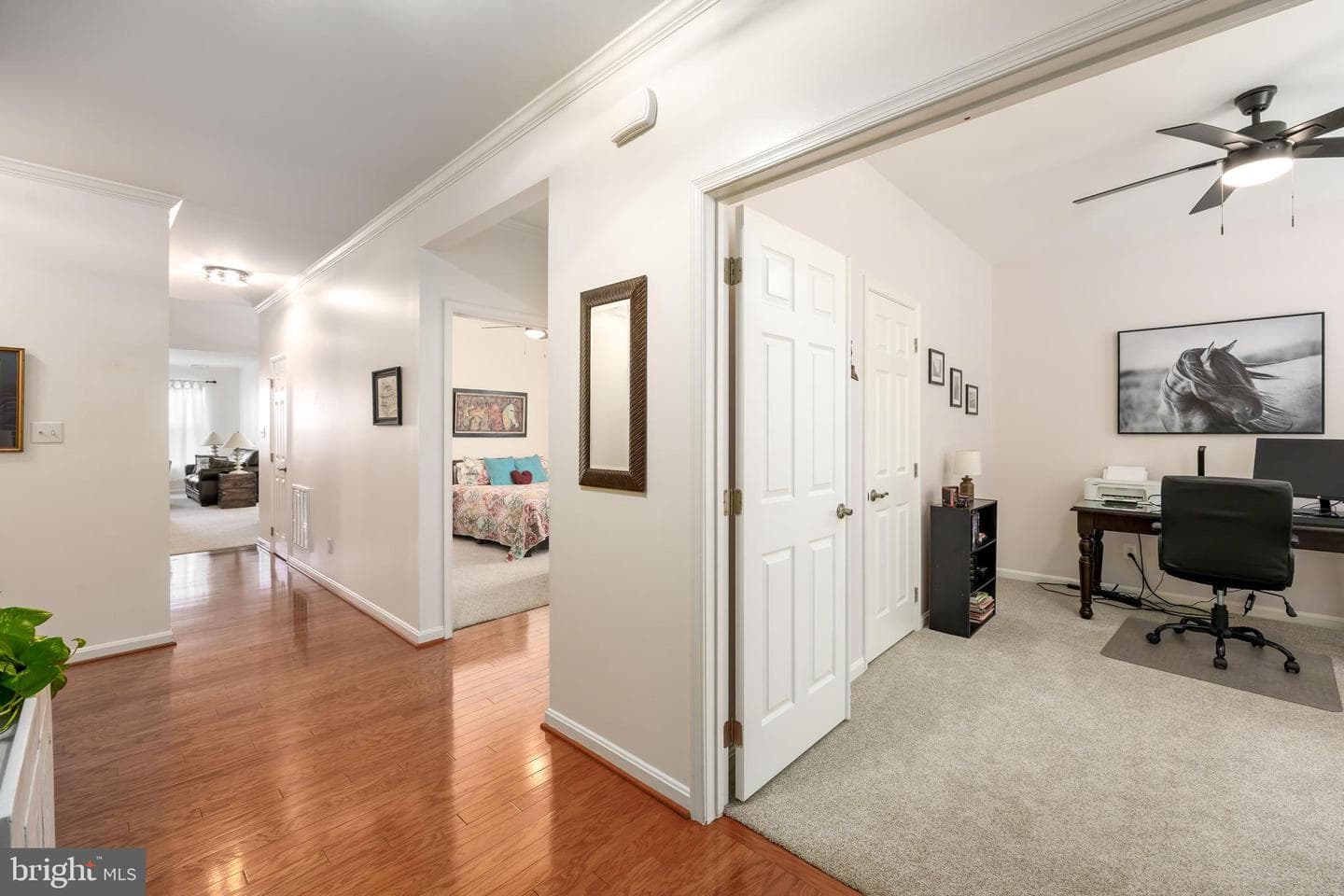 9187 Clubhouse Drive photo 16