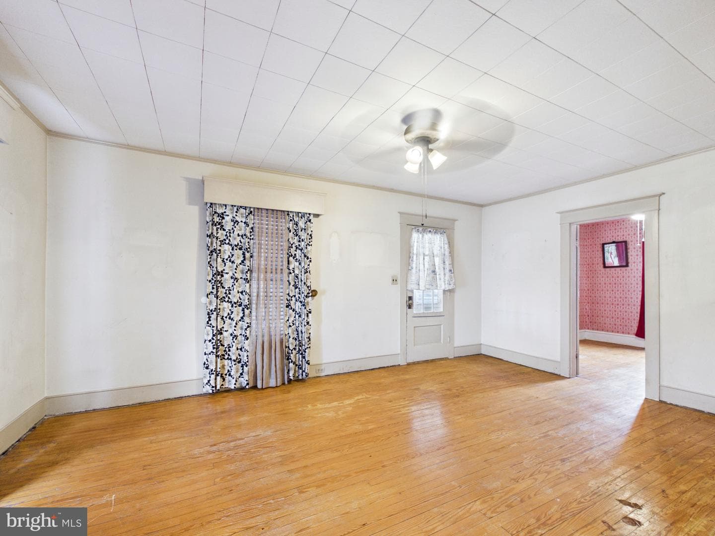 310 Lillian Street photo 12