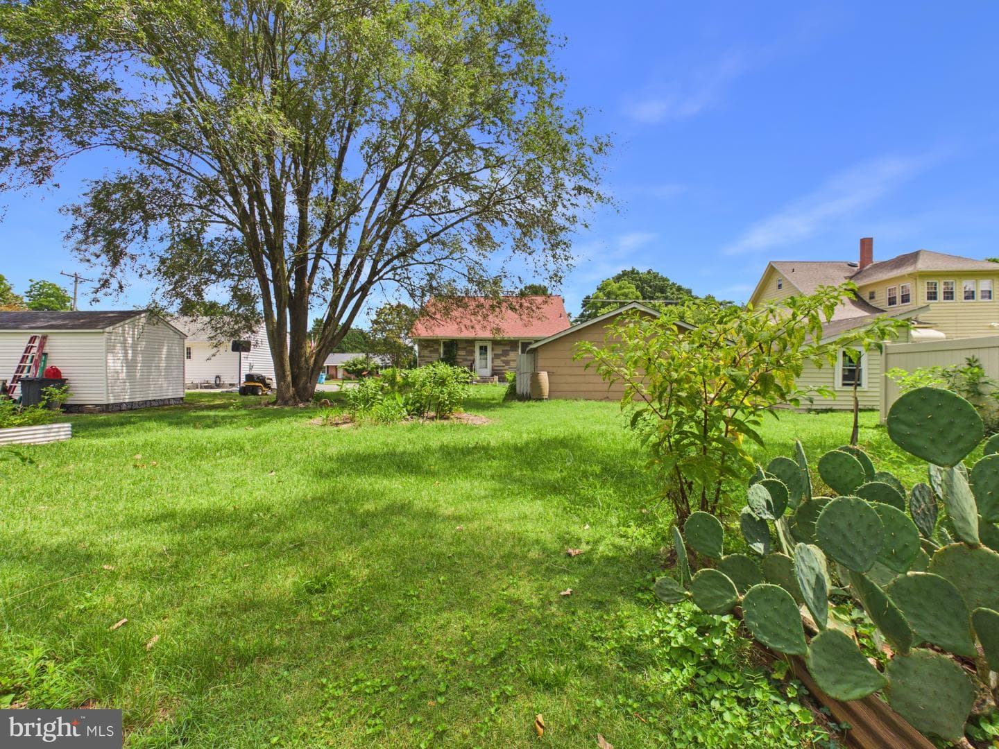 310 Lillian Street photo 4