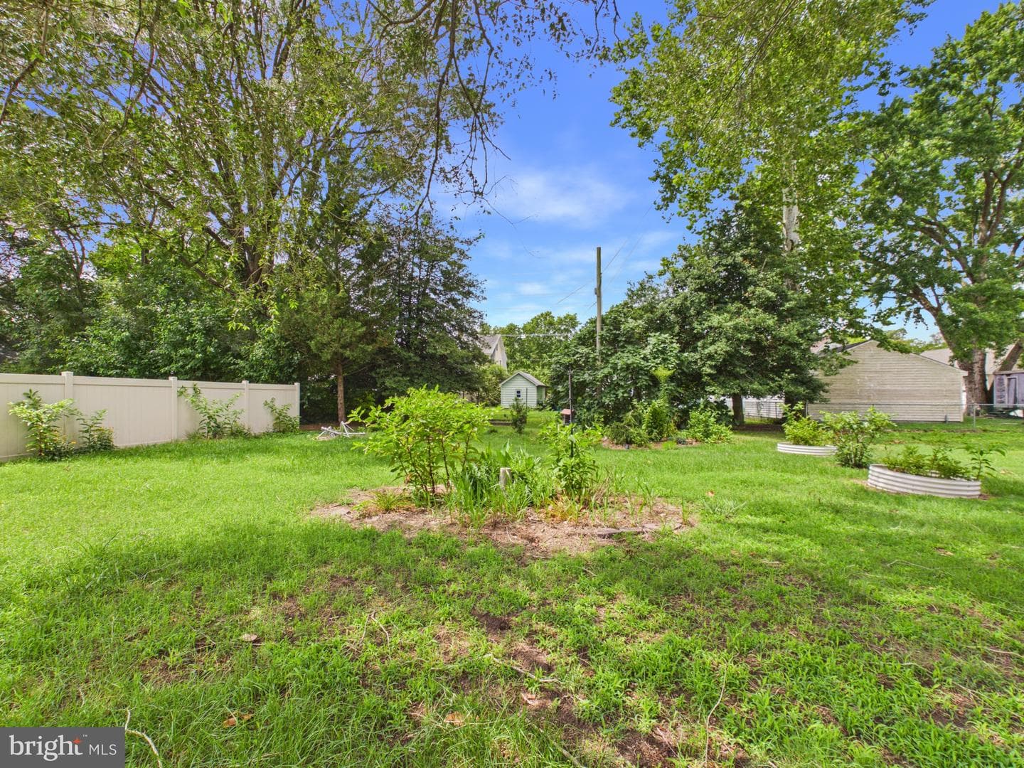 310 Lillian Street photo 5