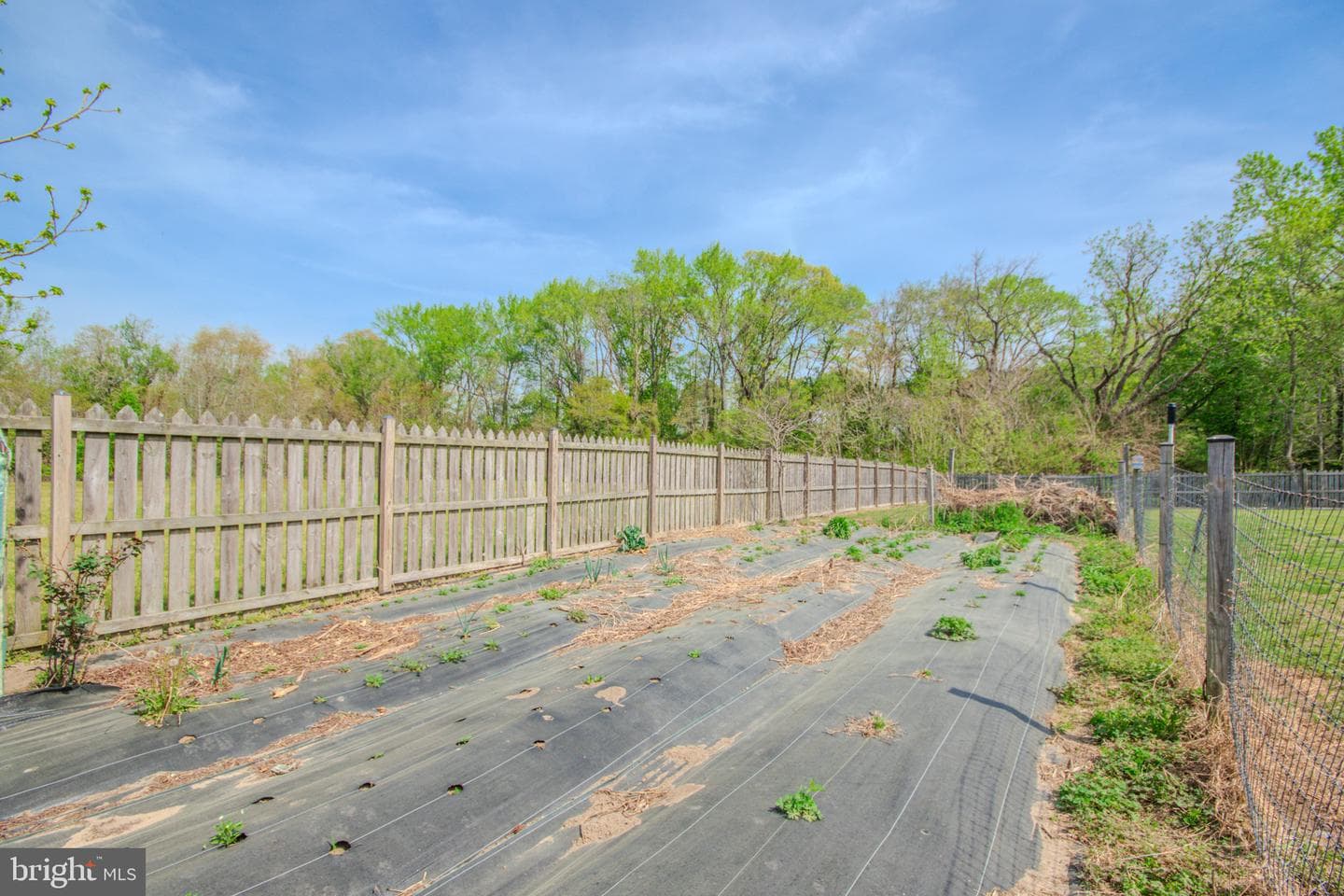 9243 Mill Branch Road photo 33