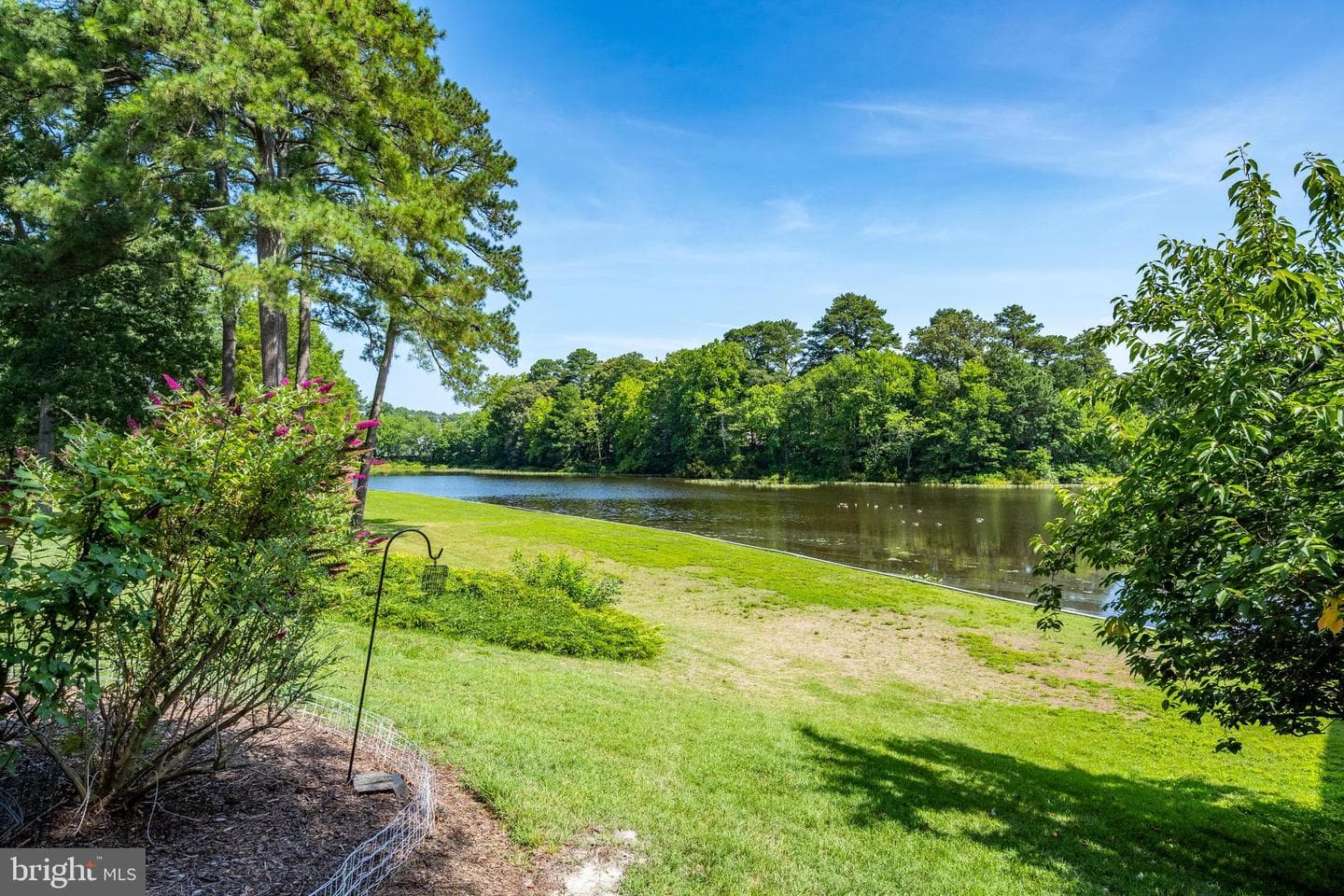 227 Canal Park Drive #305 photo 34