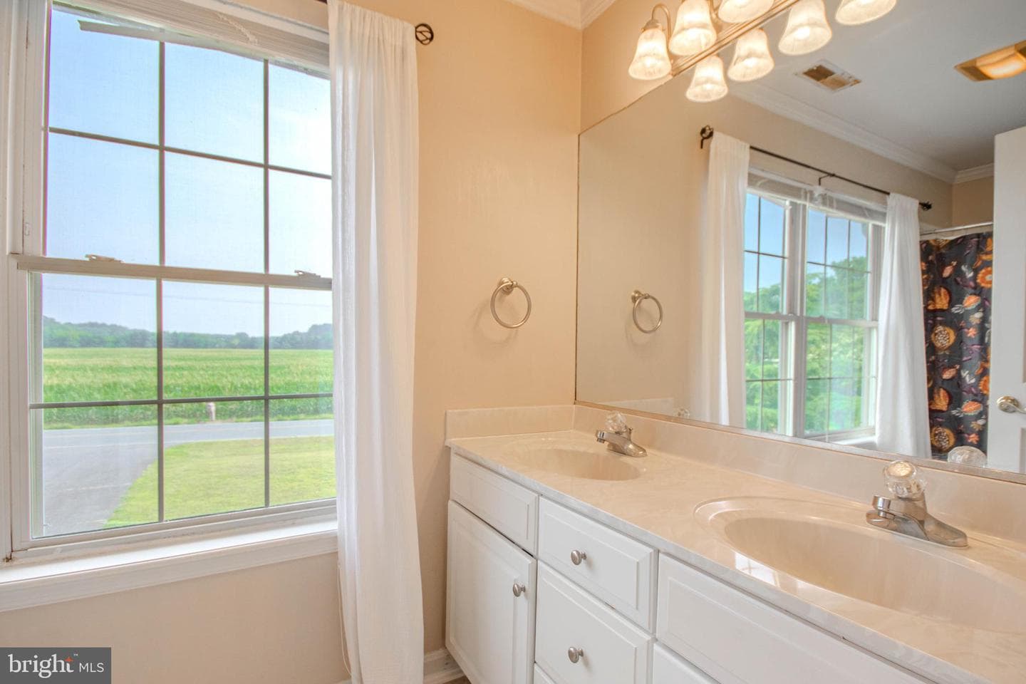 26521 Pemberton Drive photo 22