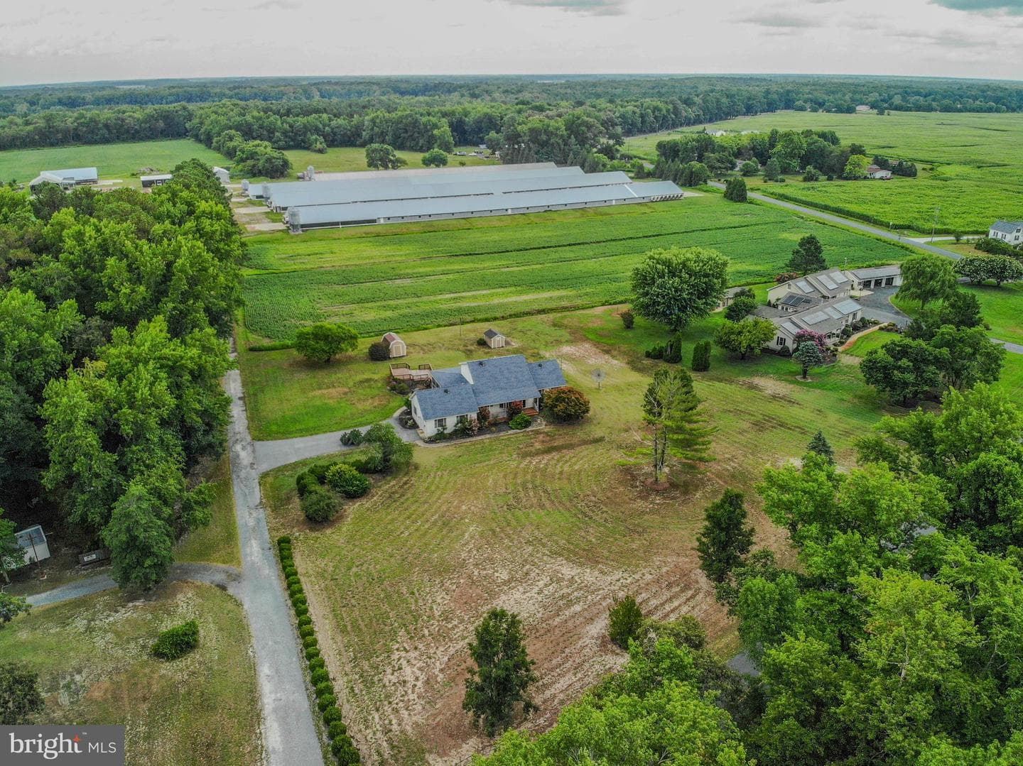 34756 Casher Wells Road photo 4