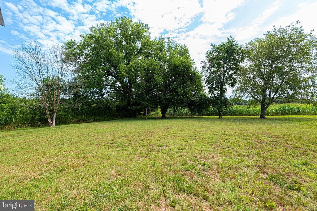 36384 Poplar Neck Road photo 37