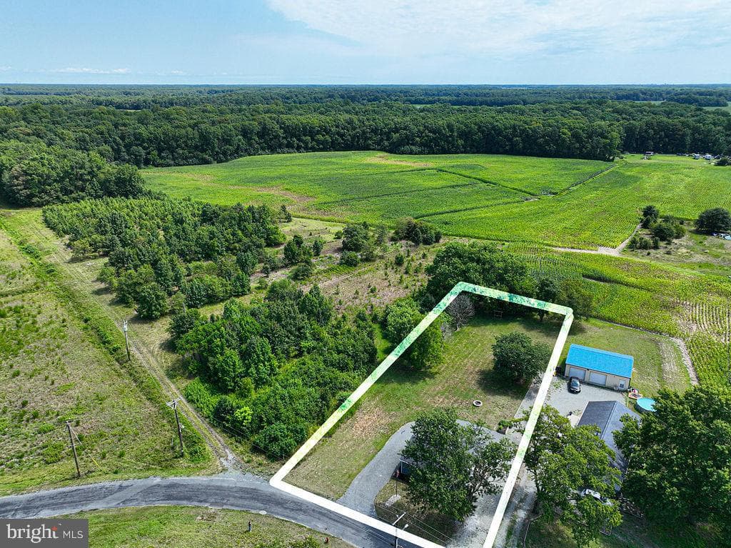 36384 Poplar Neck Road photo 54
