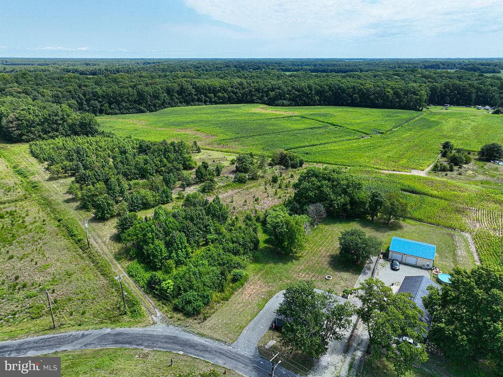 36384 Poplar Neck Road photo 56