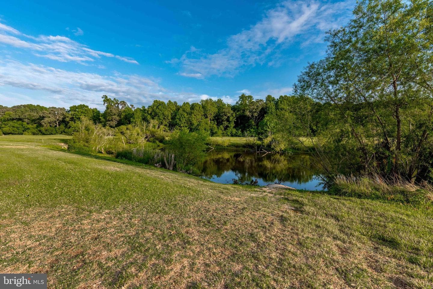 9126 Clubhouse Drive photo 42