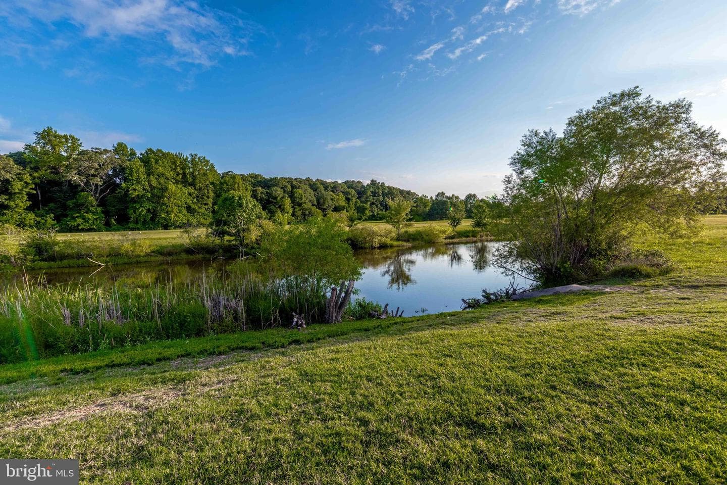 9126 Clubhouse Drive photo 43