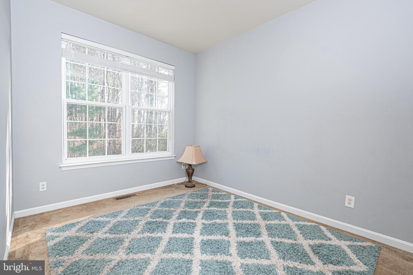 220 Barbary Coast Drive photo 24