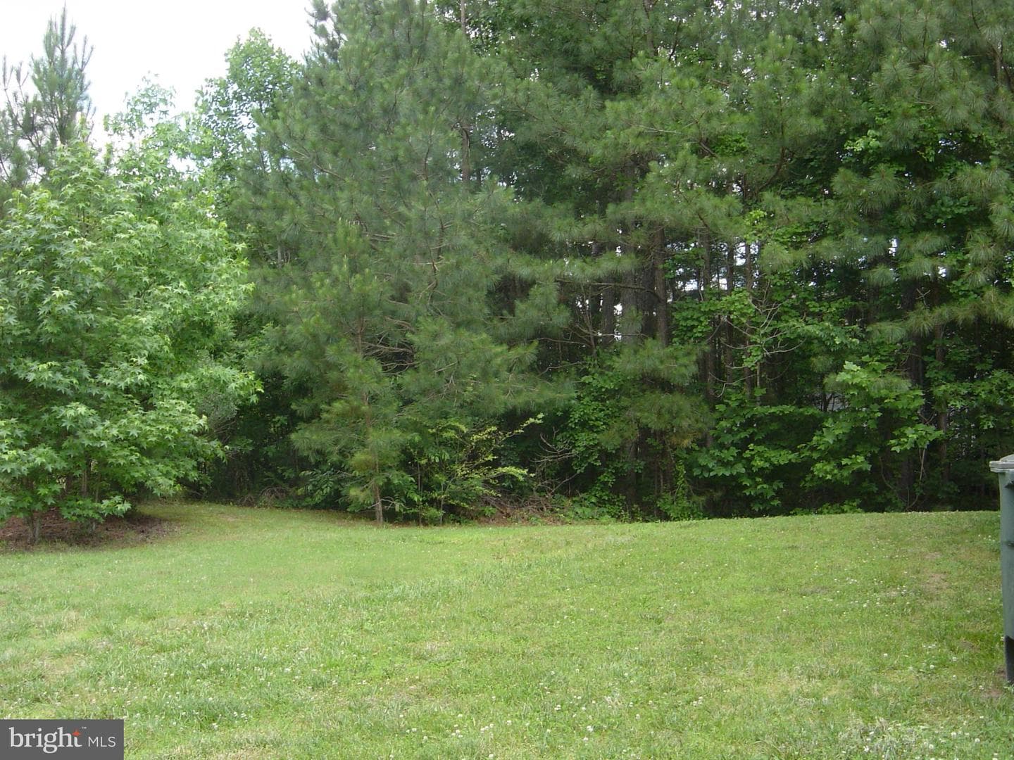 108 Intrepid Lane photo 25