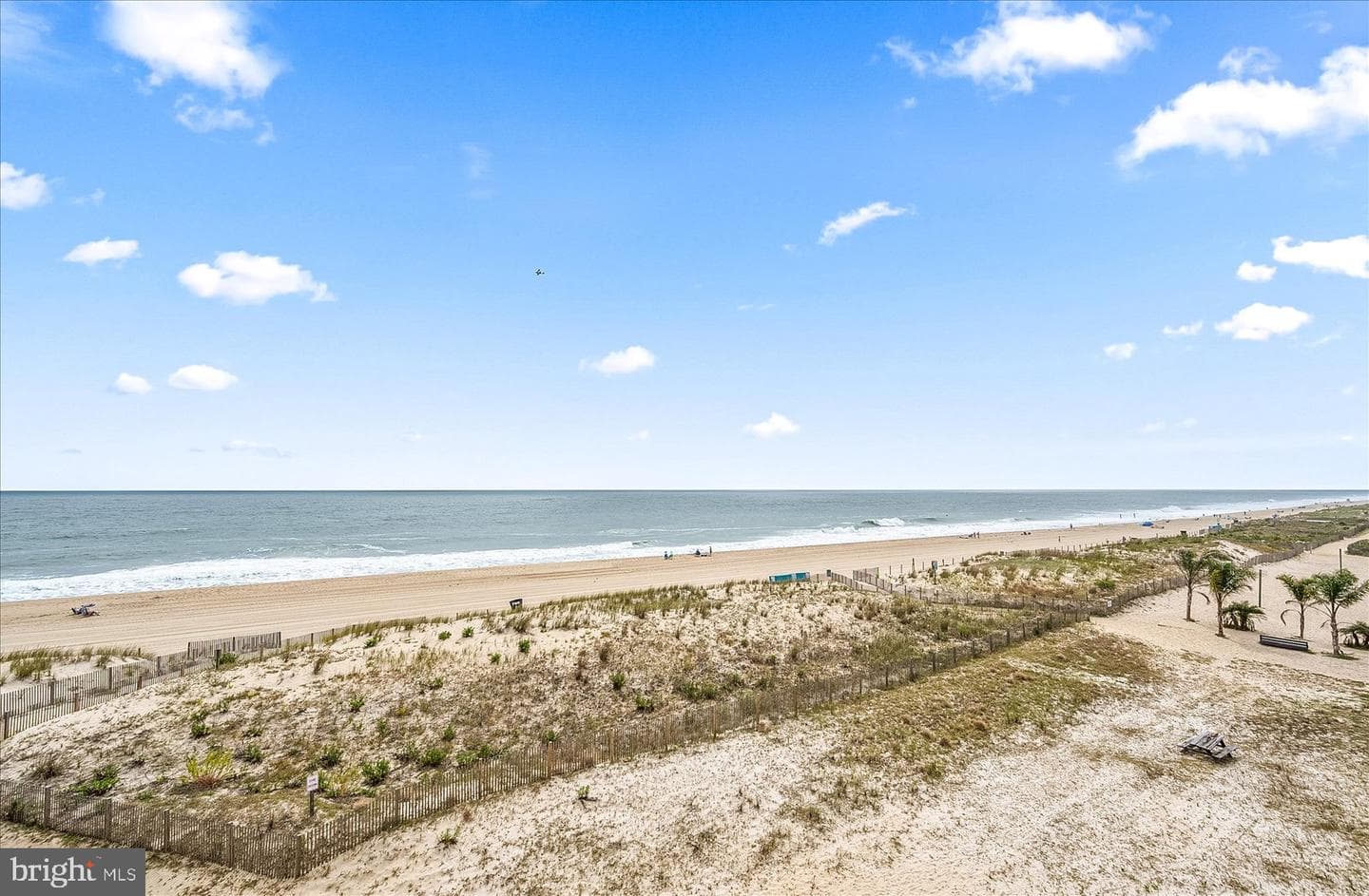 5001 Atlantic Avenue #305 photo 15