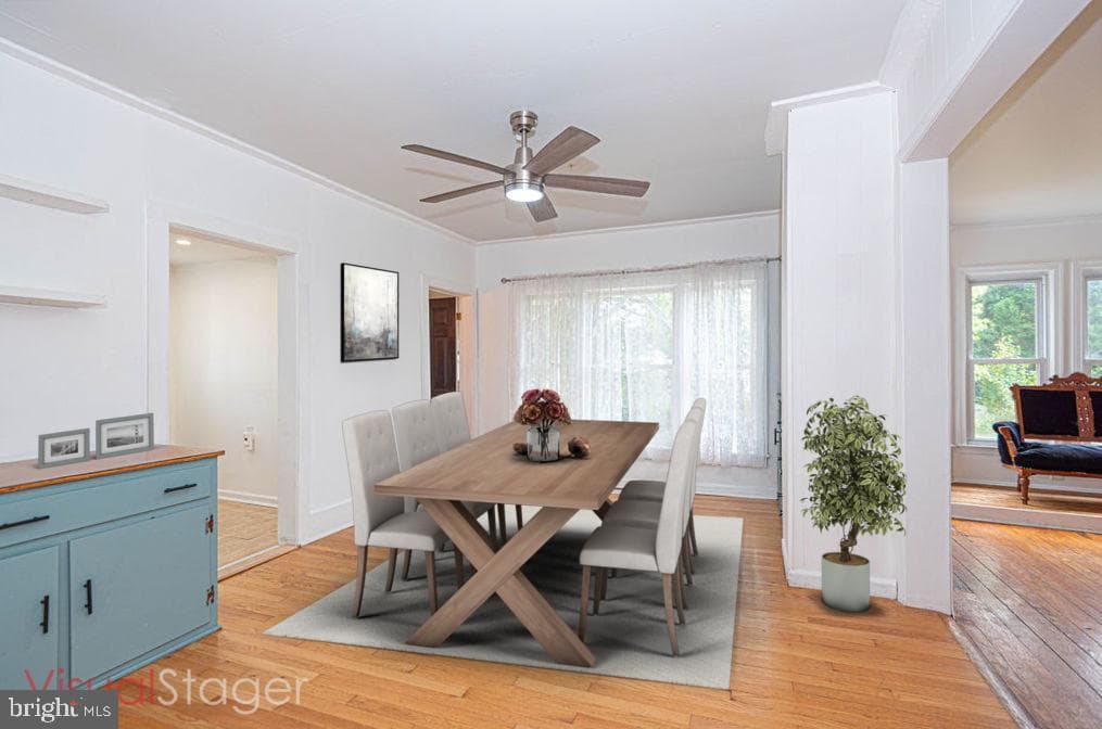 11 Vine Street photo 33