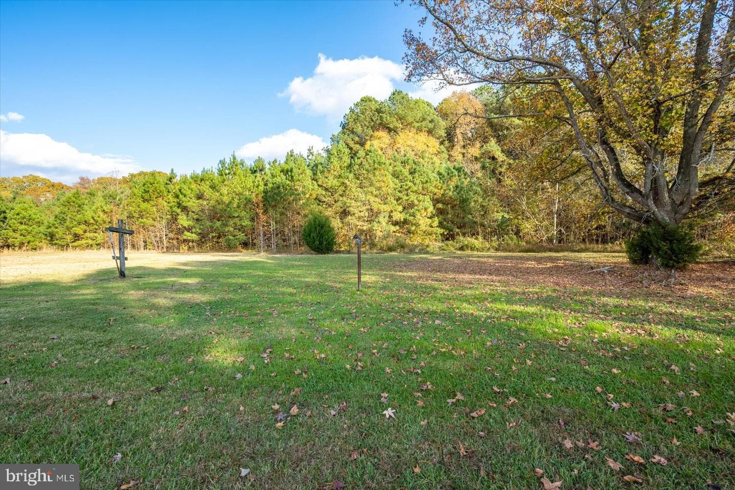 6252 Basket Switch Road photo 40