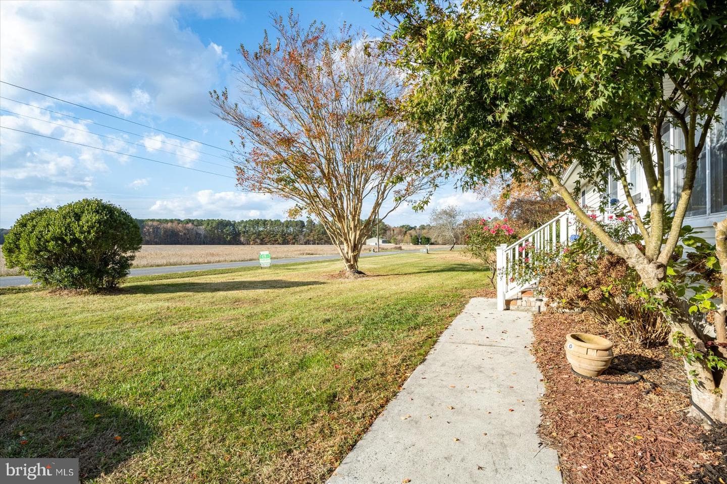 6252 Basket Switch Road photo 44