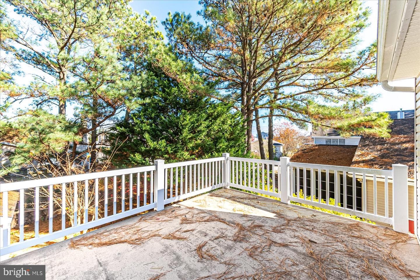 101 Lookout Pt photo 53