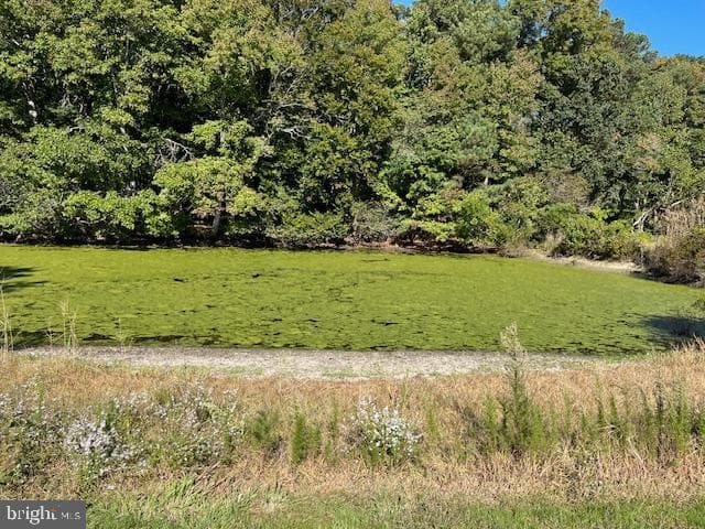 10359 Georgetown Road photo 13