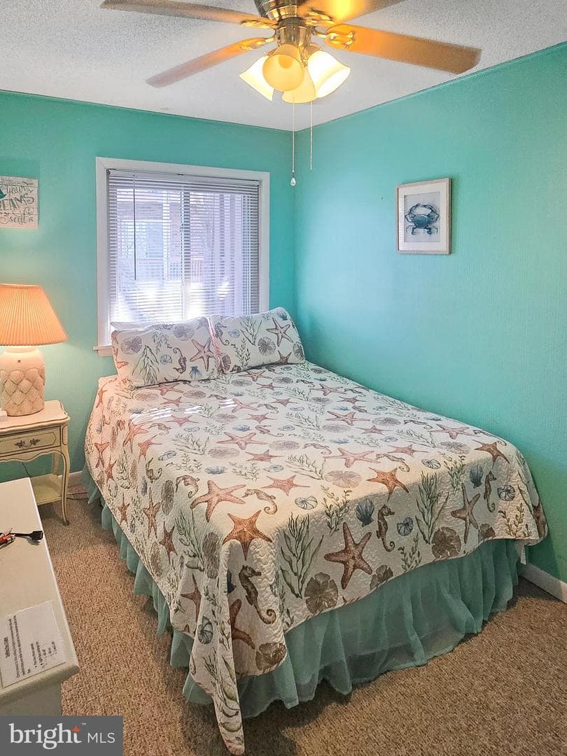 411 146th Street #223 photo 19