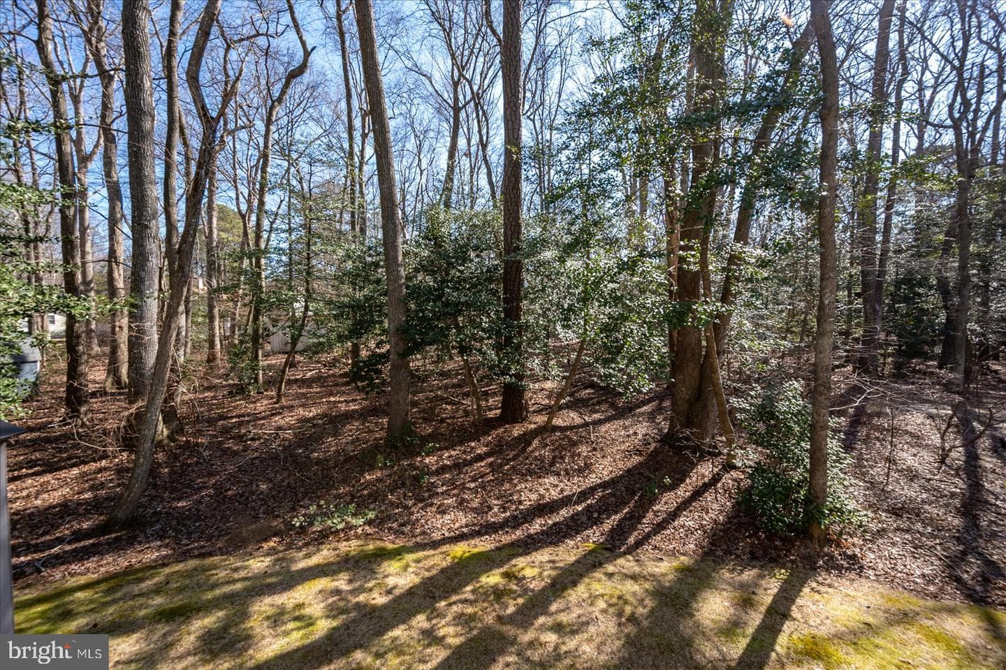 14 Brandywine Drive photo 30