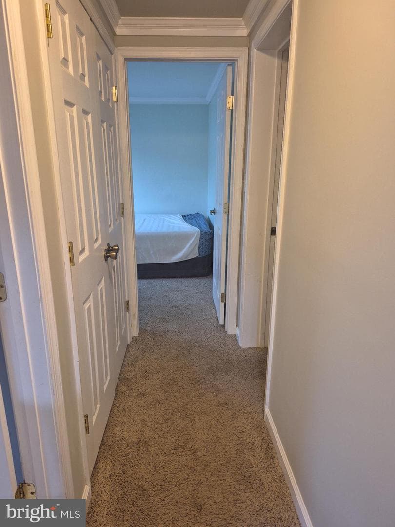 22 Alden Court photo 31