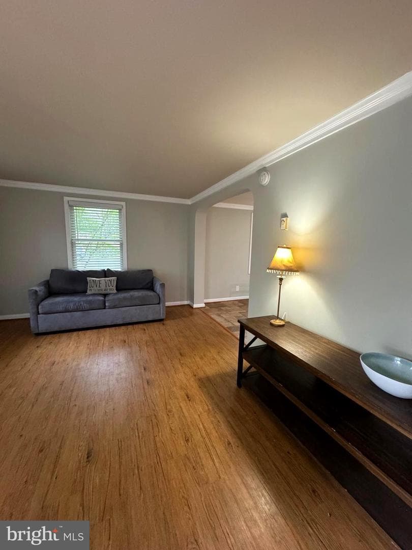 22 Alden Court photo 38