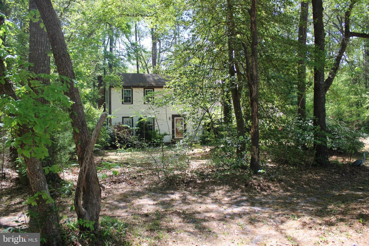 2033 Wildwood Trail photo 6