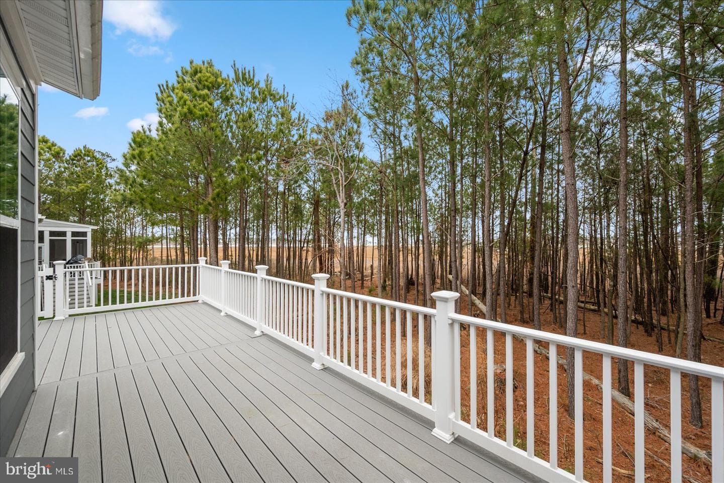 12113 Pimlico Lane photo 43