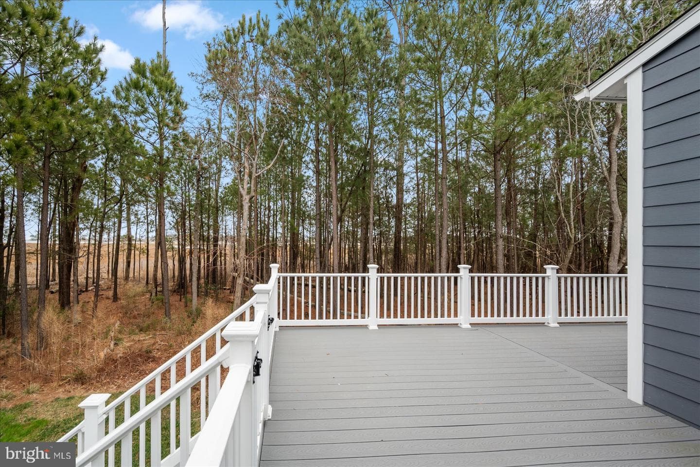 12113 Pimlico Lane photo 44