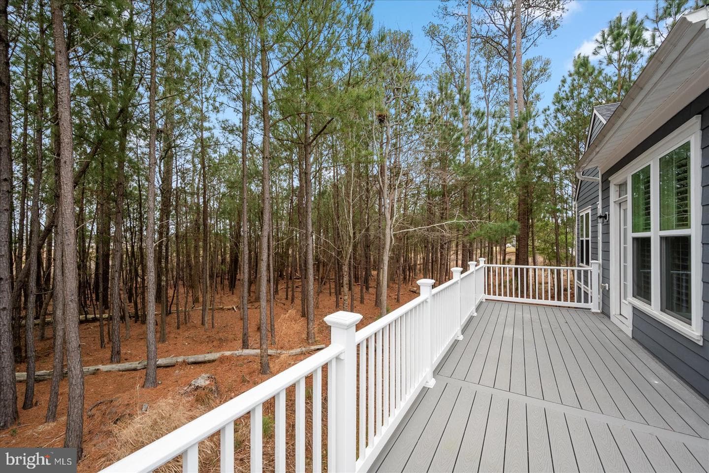 12113 Pimlico Lane photo 45