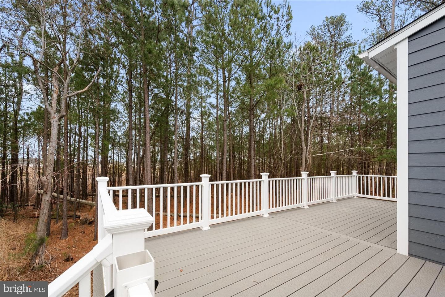 12113 Pimlico Lane photo 46