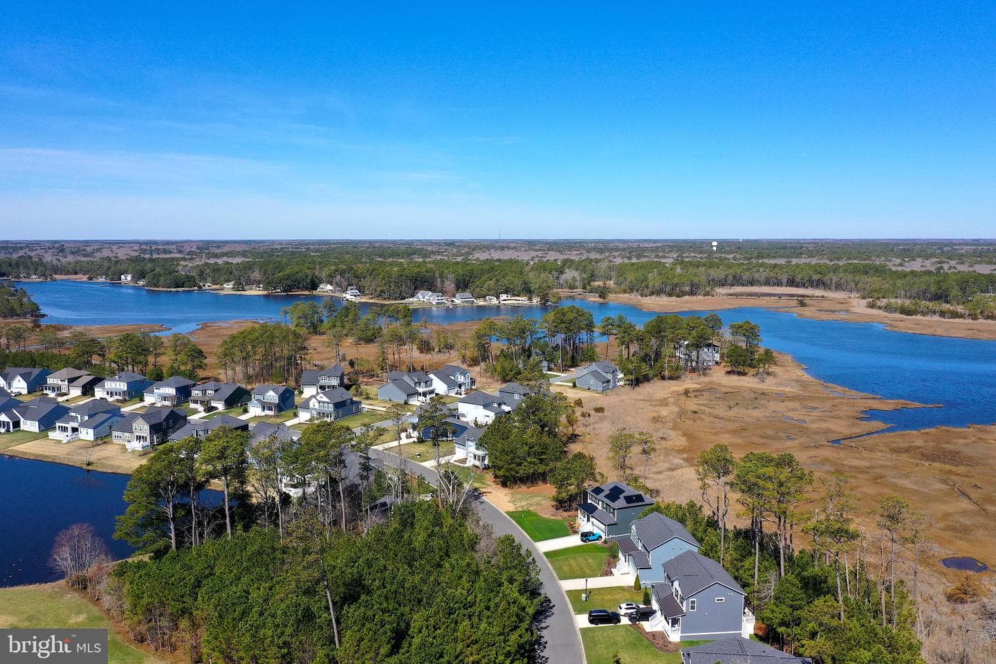 12113 Pimlico Lane photo 58