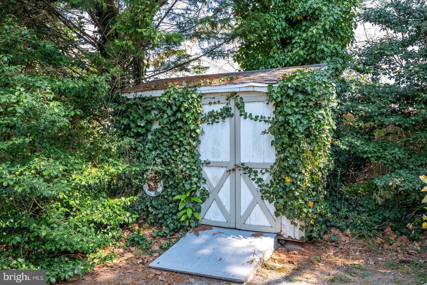 106 N Morris Street photo 51