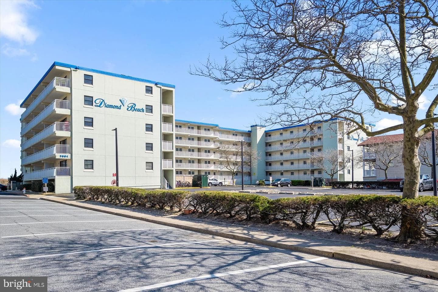 3801 Atlantic Avenue #505 photo 42