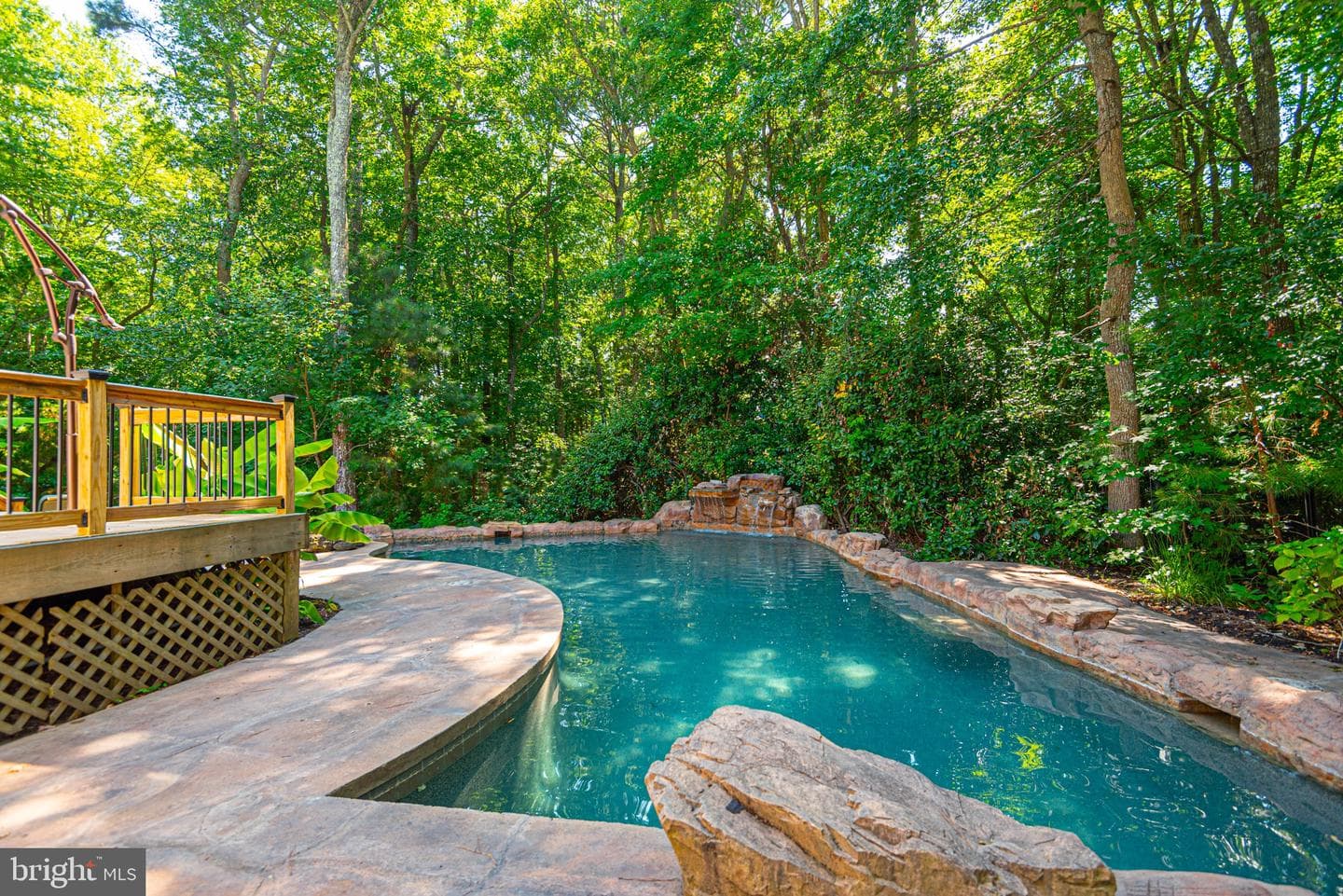12529 Deer Point Circle photo 24