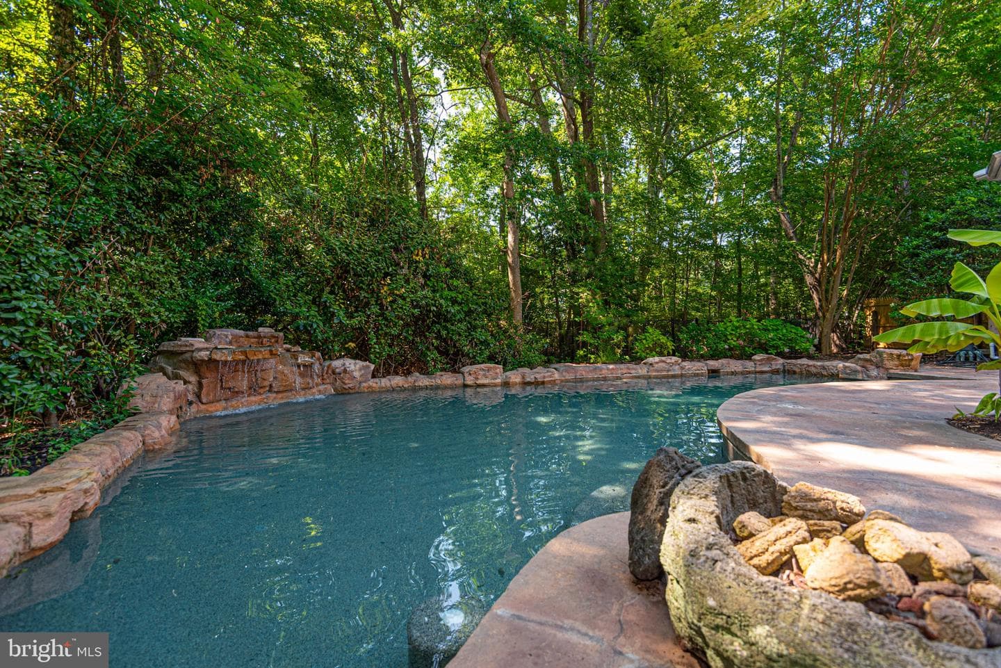 12529 Deer Point Circle photo 25